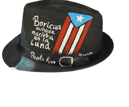 Bandera boricua  en la luna