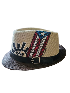 Bandera boricua  en la luna